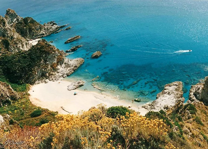 Amazing In With Wifi Apartament